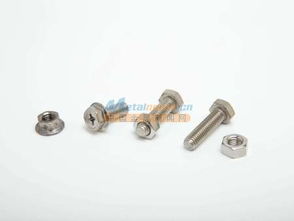 沈阳保扣金属制品 优质不锈钢防锁死螺丝，助力工业安全与效率